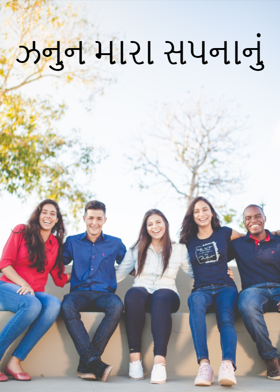 ઝનુન મારા સપનાનું