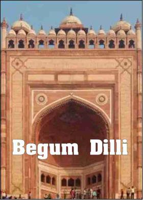Begum Dilli