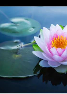 ଜୀବନ ଗୀତା-୩୦୯