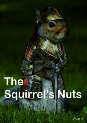 The Squirrel's Nuts