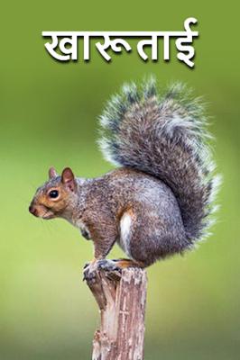 खारूताई