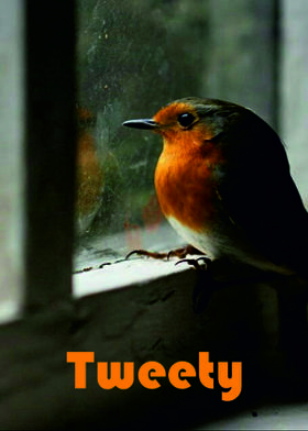 Tweety