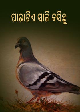 ପାରାଟିଏ ସାଜି ବସିଛୁ