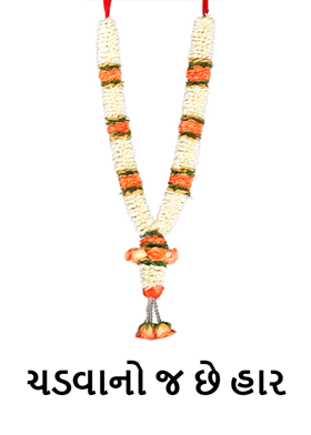 ચડવાનો જ છે હાર