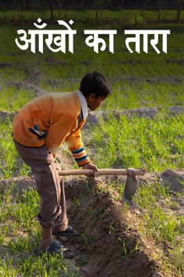 आँखों का तारा