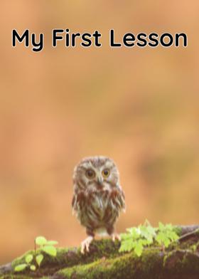 My First Lesson