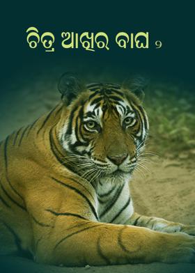 ଚିତ୍ର ଆଖିର ବାଘ - ୨