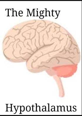 The Mighty Hypothalamus
