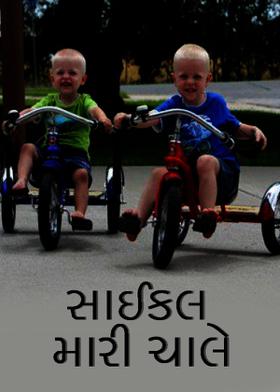 સાઈકલ મારી ચાલે
