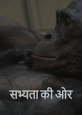 सभ्यता  की ओर