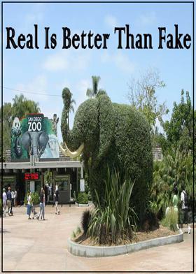 Real Is Better Than Fake