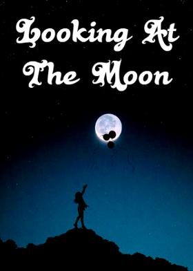 Looking At The Moon