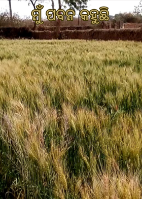 ମୁଁ ପବନ କହୁଛି