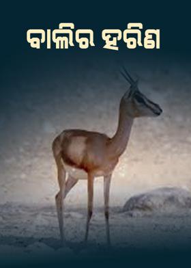 ବାଲିର ହରିଣ