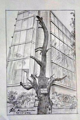 યાદ તરણું