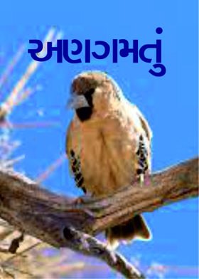 અણગમતું