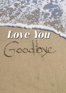 Love You Goodbye