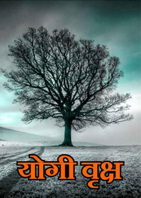 योगी वृक्ष