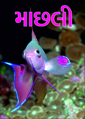 માછલી