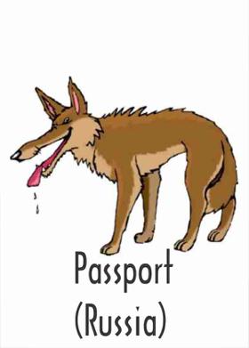 Passport (Russia)