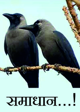 समाधान...!