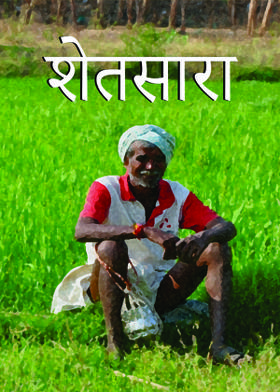 शेतसारा