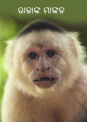 ରାଜାଙ୍କ ମାଙ୍କଡ