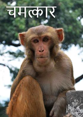 चमत्कार