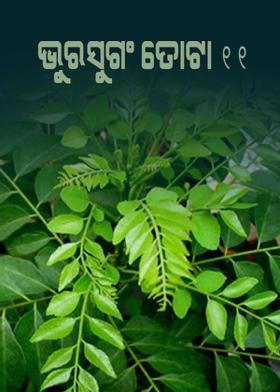 ଭୁରସୁଗଂ-ତୋଟା ୧୧