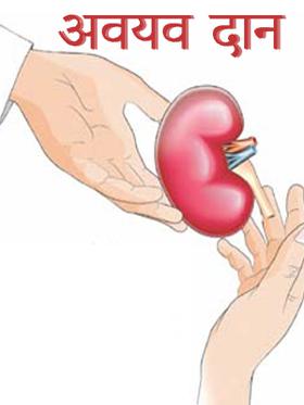 अवयव दान