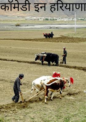कॉमेडी इन हरियाणा