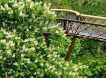 उतरते मार्च की चंद तारीखेंं