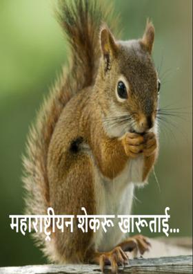 महाराष्ट्रीयन शेकरू खारूताई...