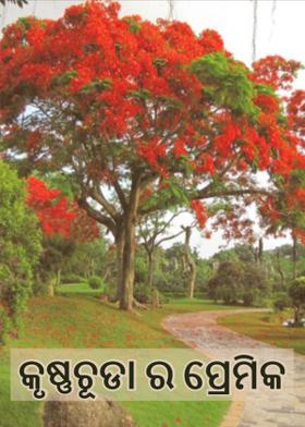 କୃଷ୍ଣଚୂଡା ର ପ୍ରେମିକ