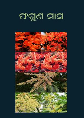 ଫଗୁଣ ମାସ