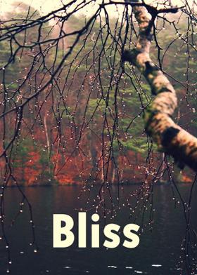 Bliss