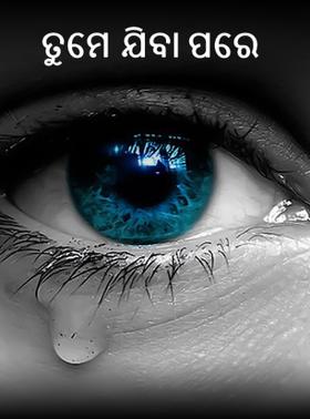 ତୁମେ ଯିବା ପରେ