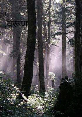 , ,वरूण राजा