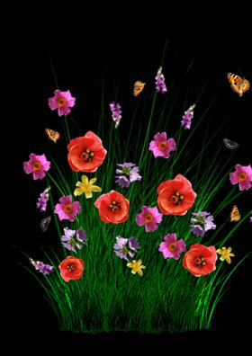 ज़िंदगी तेरा गणित