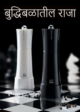 ... बुद्धिबळातील राजा...