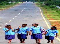 तितलियाँ