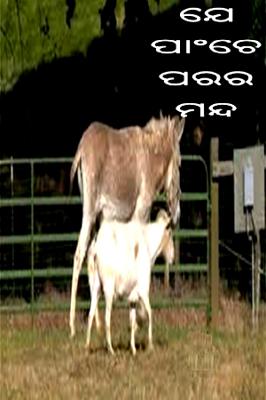 ଯେ ପାଂଚେ ପରର ମନ୍ଦ