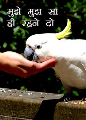 मुझे मुझ सा ही रहने दो