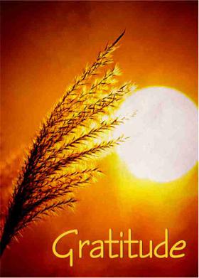 Gratitude