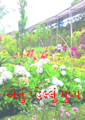 એનું પ્હેલ્લું પુષ્પ