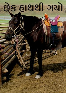 છેક હાથથી ગયો