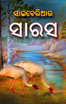 ସାଇବେରିଆର ସାରସ 