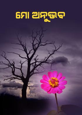 ମୋ ଅନୁଭବ