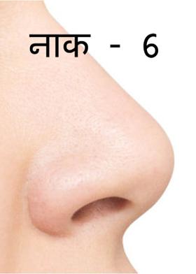 नाक - 6