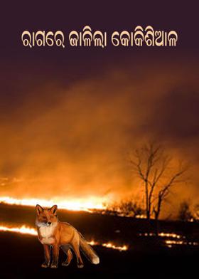 ରାଗରେ ଜାଳିଲା କୋକିଶିଆଳ